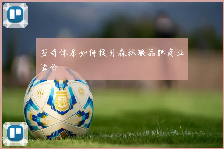 芬奇体系如何提升森林狼品牌商业溢价