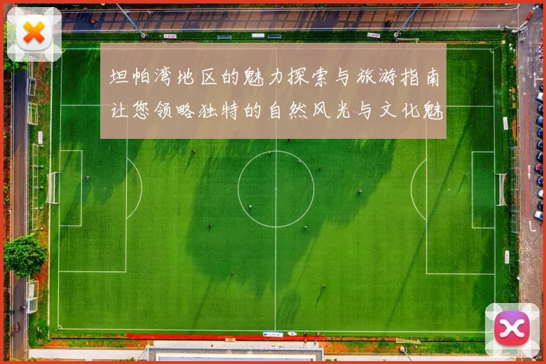 坦帕湾地区的魅力探索与旅游指南让您领略独特的自然风光与文化魅力