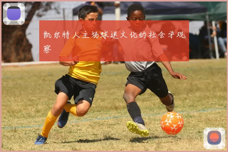 凯尔特人主场球迷文化的社会学观察